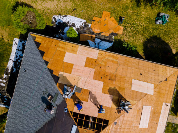 Best Roof Replacement Cost  in Allison, IA